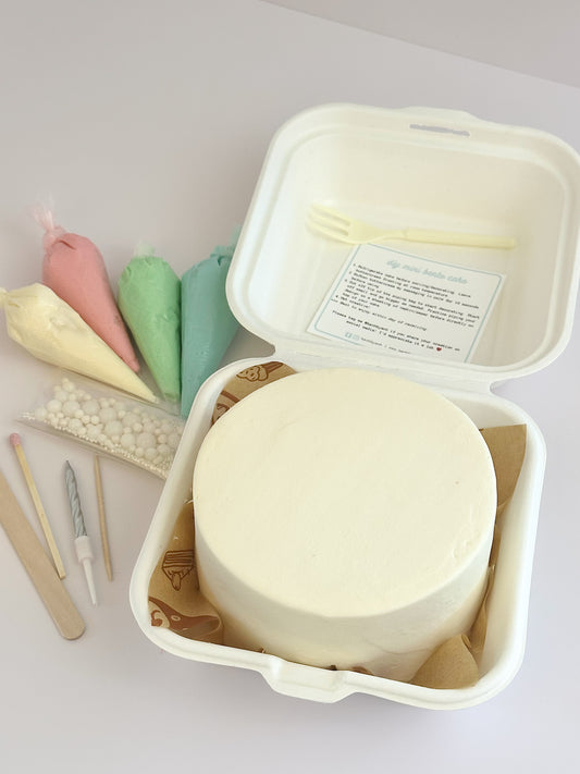 DIY Mini Bento Cake